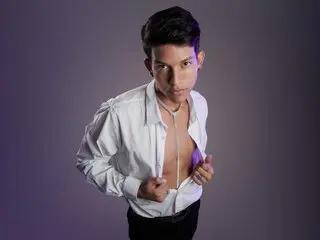 Toy LeisanFox
